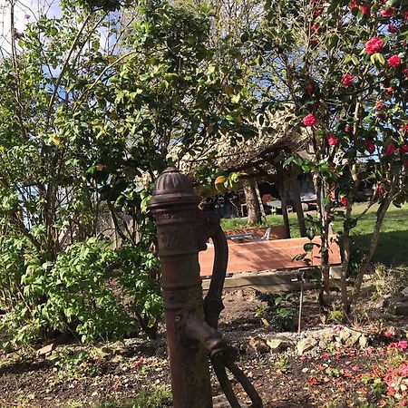 Villa Coco 9 Personnes Jardin Proche Beauval Lye Zewnętrze zdjęcie