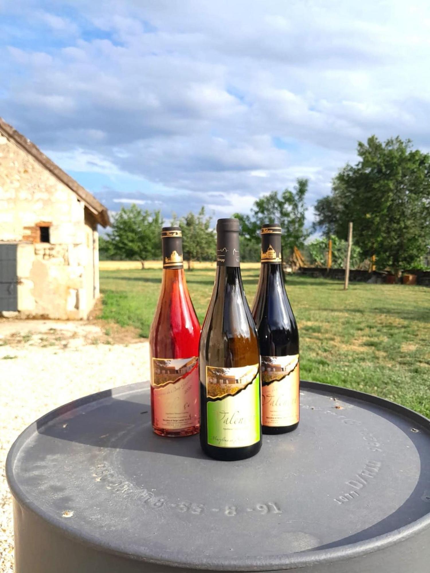 Villa Coco 9 Personnes Jardin Proche Beauval Lye Zewnętrze zdjęcie